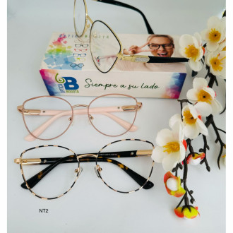 Montura Metalica  De Lujo Nt2