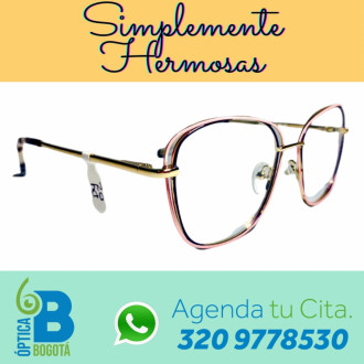 Montura Metalica De Lujo Dy02